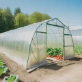 TAŚMA DO FOLII SZKLARNIOWEJ TUNELI naprawcza 50mm/10m rolka transparentna