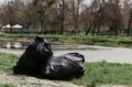WORKI NA ŚMIECI 70X110CM CZARNE mocne BEAST 120L rolka 25szt