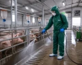 Kombinezon ochronny do oprysków chemiczny biologiczny roboczy AG MAX